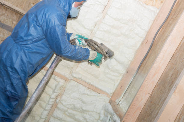 Best Crawl Space Insulation  in Aldan, PA